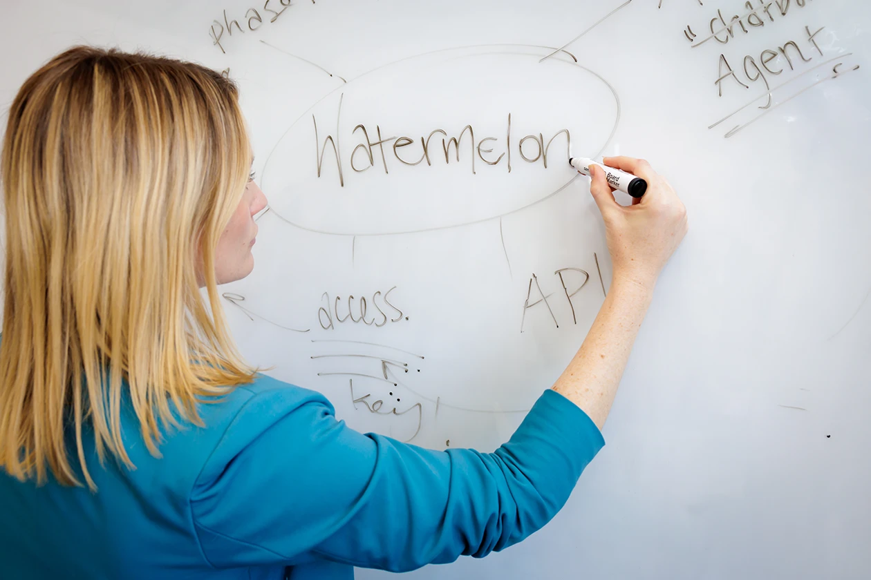 watermelon team watermelon team