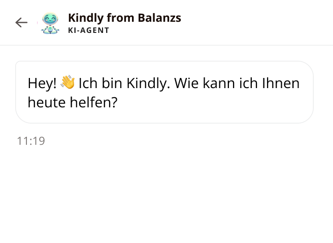 KI-Agent Balanzs KI-Agent Balanzs