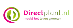 directplant logo
