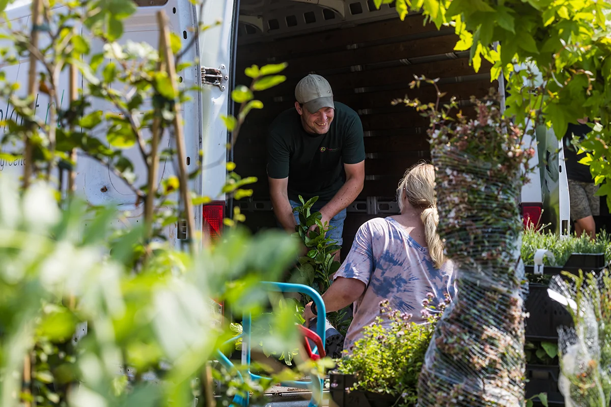 Loading plants at Directplant Loading plants at Directplant