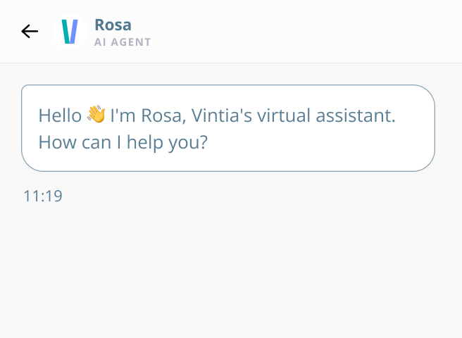 Vintia AI Agent