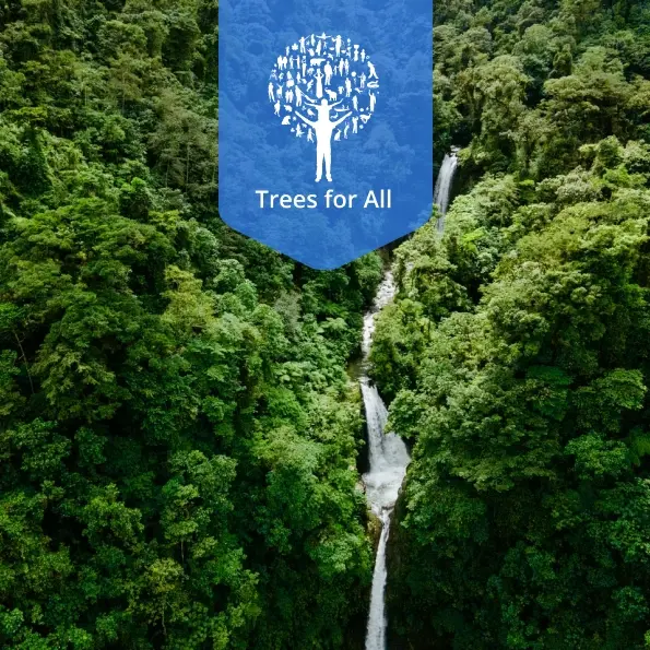 Sustainability watermelon