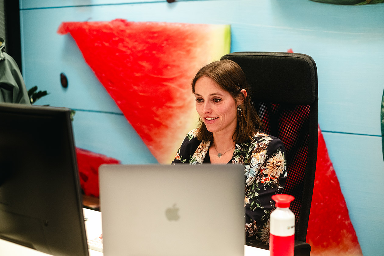 watermelon team watermelon team